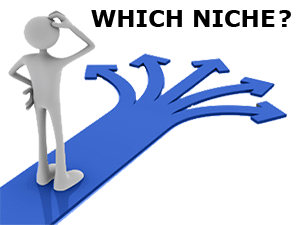 choose-right-correct-niche-topic-fiels-website-blog-tips-advice-help-guide-information