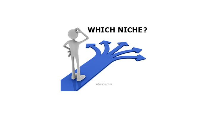 choose-right-correct-niche-topic-fiels-website-blog-tips-advice-help-guide-information