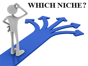 choose niche topic website blog