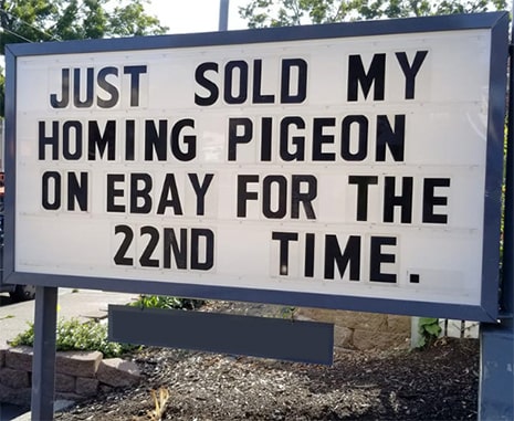 homing pigeon-pigeon-ebay-funny-meme